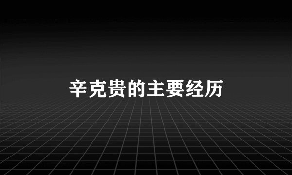 辛克贵的主要经历