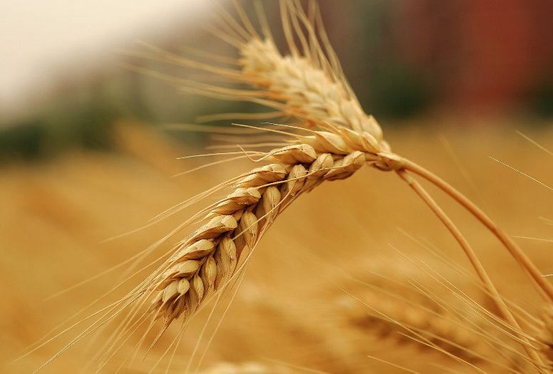 多一度热爱下一句