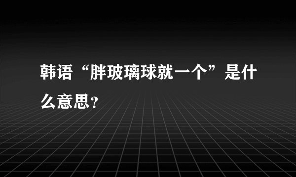 韩语“胖玻璃球就一个”是什么意思？