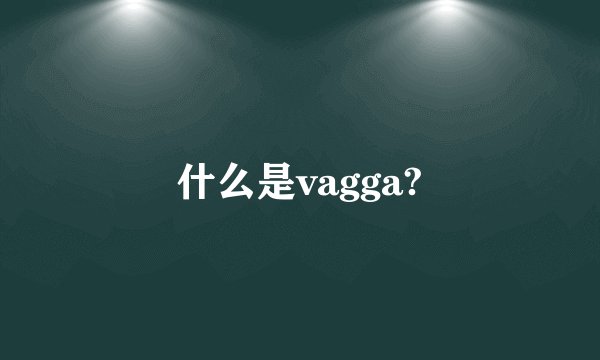 什么是vagga?