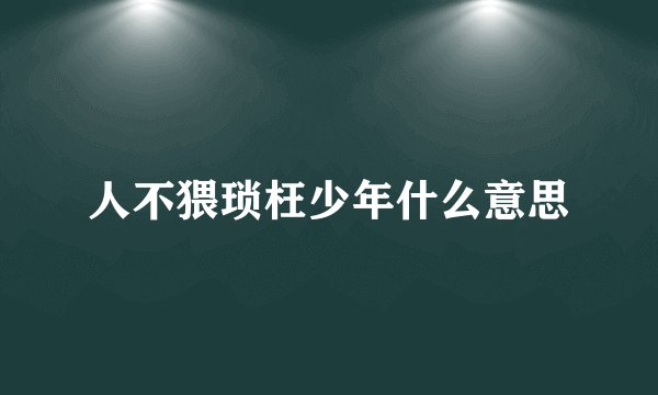 人不猥琐枉少年什么意思