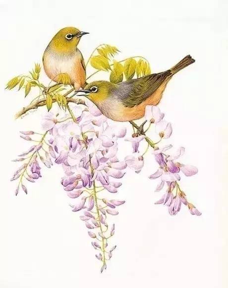 用一马组成成语