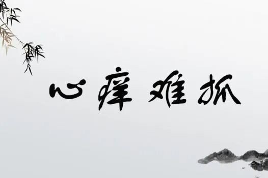 心痒难抓是什么数字