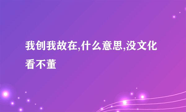 我创我故在,什么意思,没文化看不董