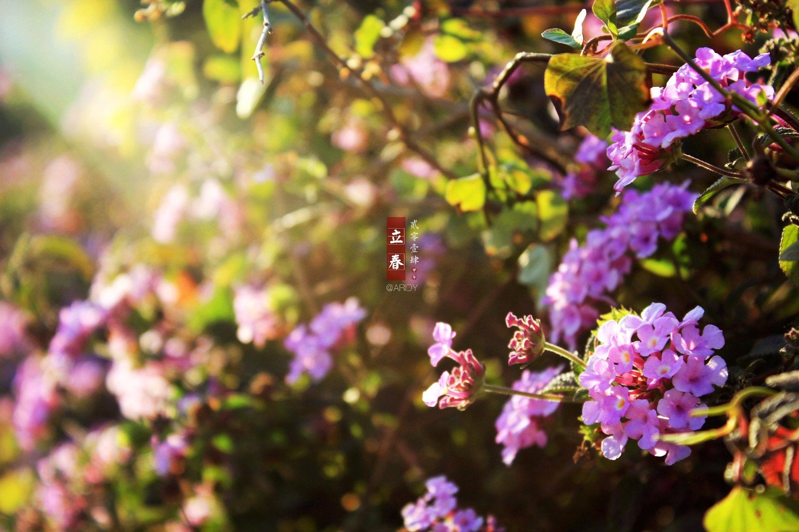 今日立春几点几分啊