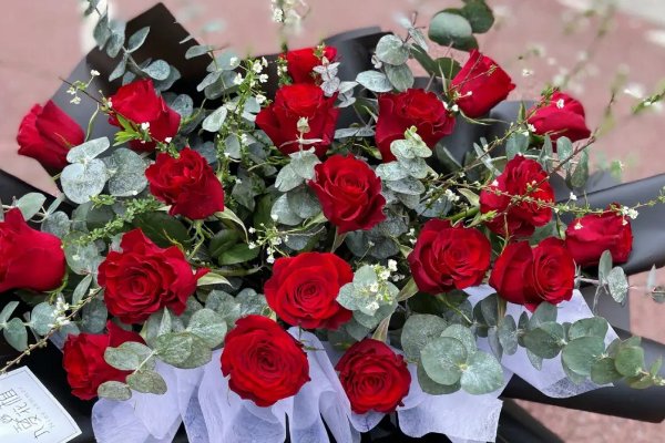 女人收到19朵红玫瑰代表什么