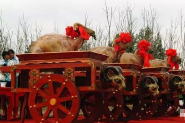 温驯忠厚的羊,是怎么成为祭祀代表的?