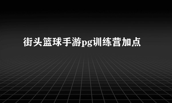 街头篮球手游pg训练营加点