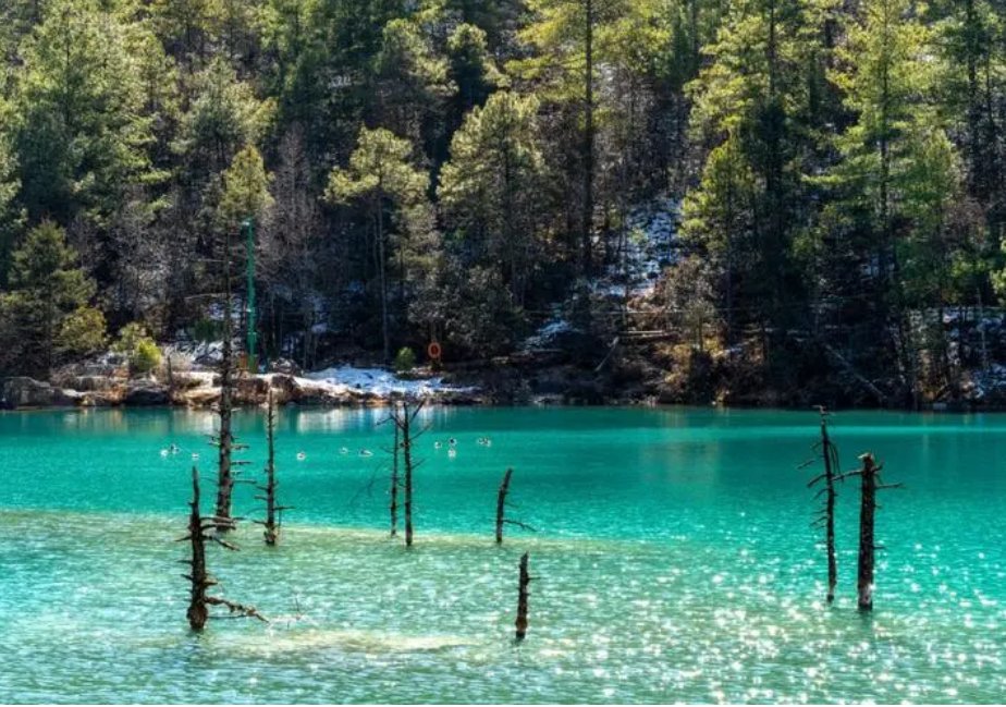 高考时间2023年时间表云南