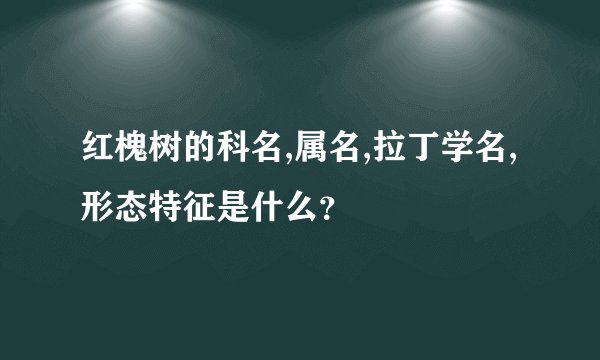 红槐树的科名,属名,拉丁学名,形态特征是什么？