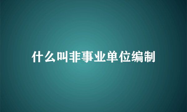 什么叫非事业单位编制