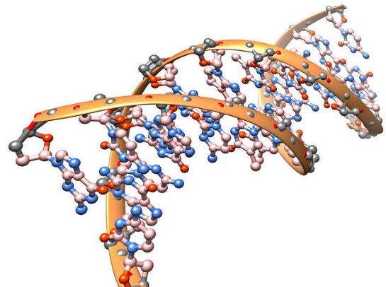 化学中的无机是指什么?