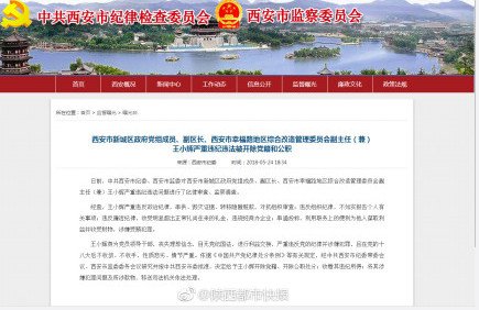 王小辉因何被双开了？