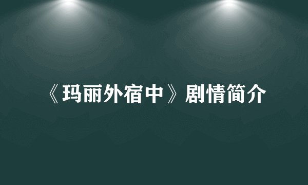 《玛丽外宿中》剧情简介