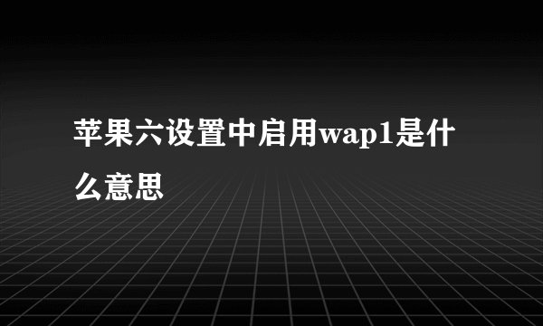 苹果六设置中启用wap1是什么意思