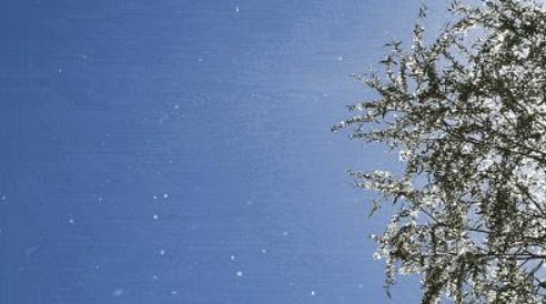 植物传播方法100种短句