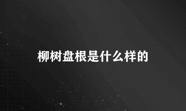柳树盘根是什么样的