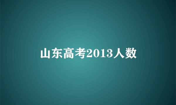 山东高考2013人数