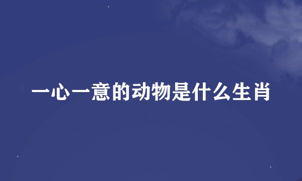 一心一意的动物是什么生肖