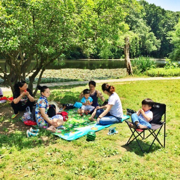 “走走走走走，我们大手拉小手，走走走走走，一起去郊游……”这歌名是啥