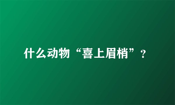 什么动物“喜上眉梢”？