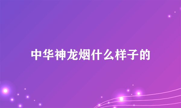 中华神龙烟什么样子的
