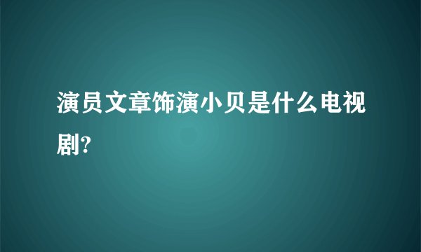 演员文章饰演小贝是什么电视剧?
