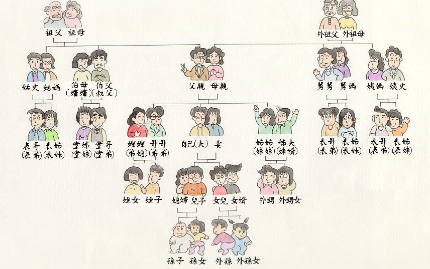 叔母是什么意思？