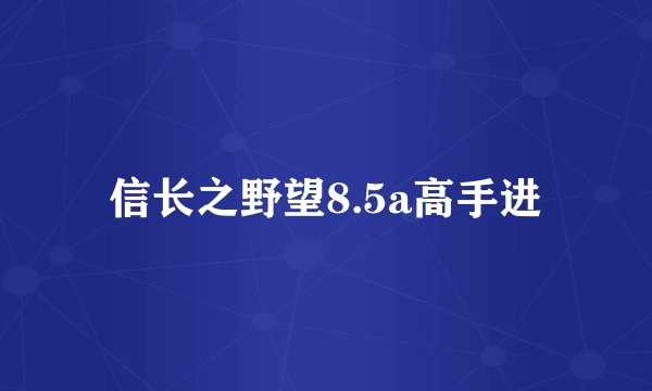 信长之野望8.5a高手进