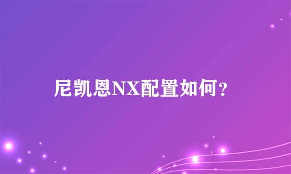 尼凯恩NX配置如何？