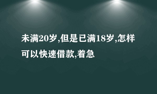 未满20岁,但是已满18岁,怎样可以快速借款,着急