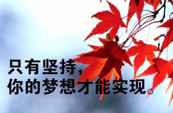 你懂我的意思正能量www正能量视频