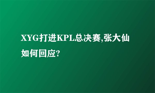 XYG打进KPL总决赛,张大仙如何回应?