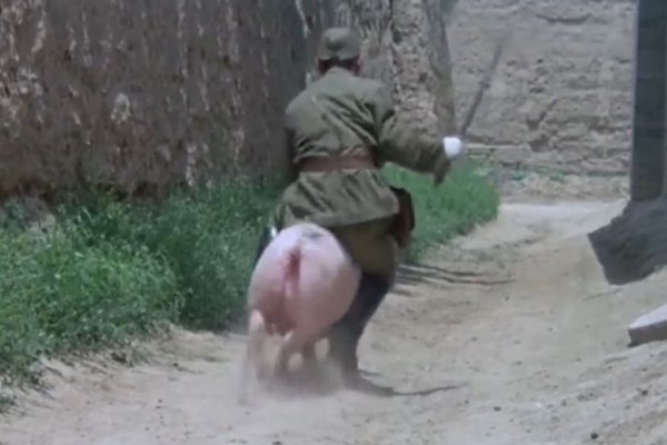 你觉得《举起手来1》这部电影中最搞笑的是哪个情节？