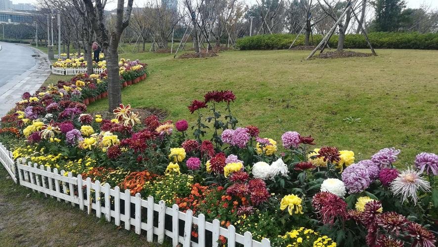 红如火,白如雪,粉如什么如何填空?