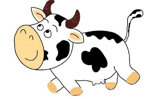 一五一十属于哪个生肖