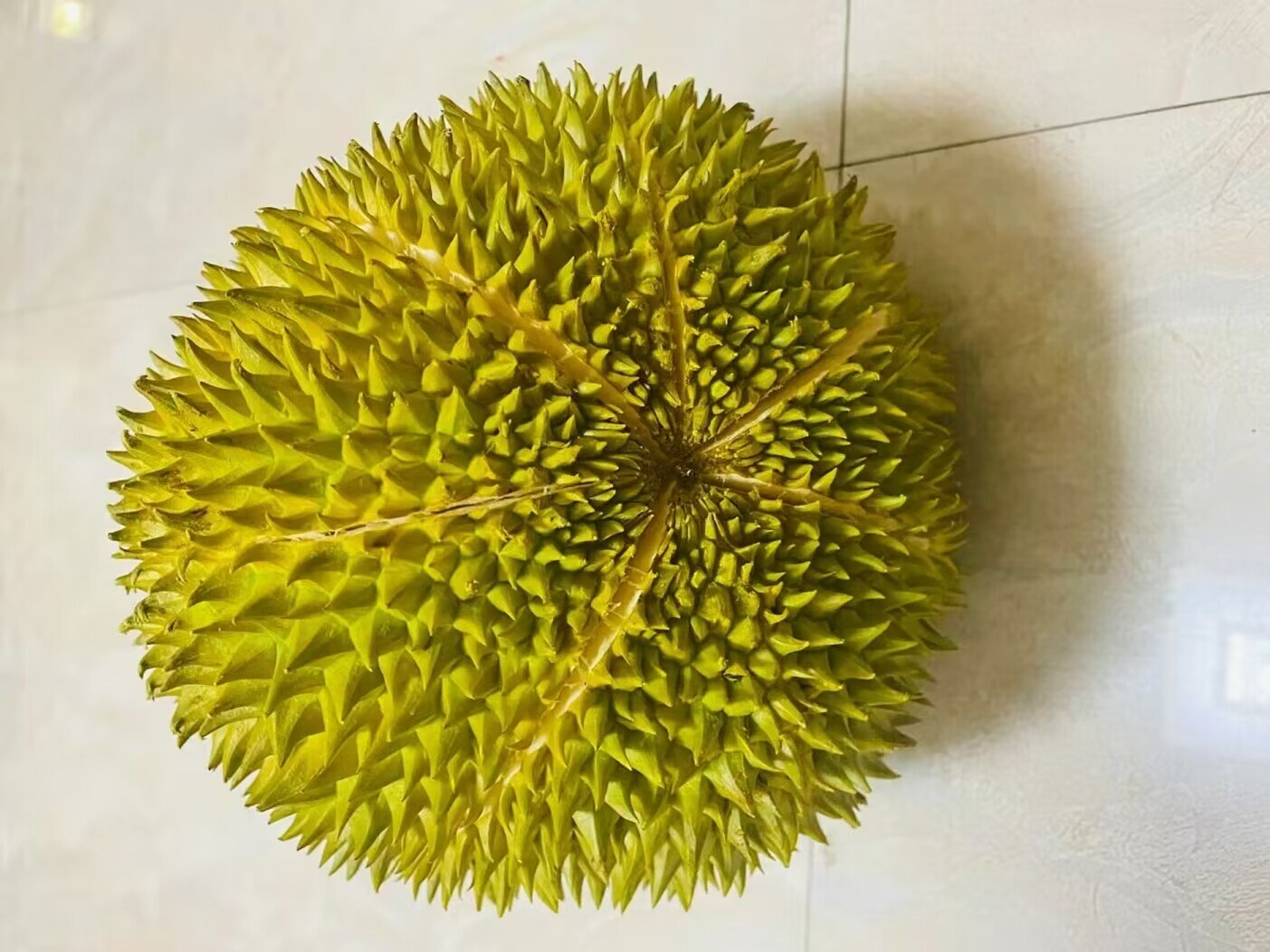 什么水果不能上供