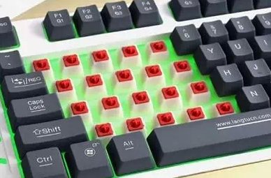 机械战将键盘是机械师键盘吗