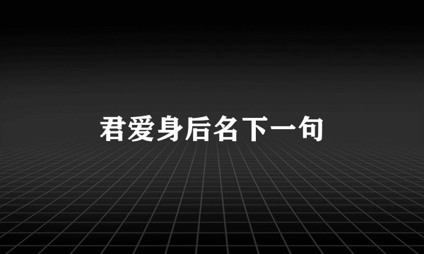 君爱身后名下一句
