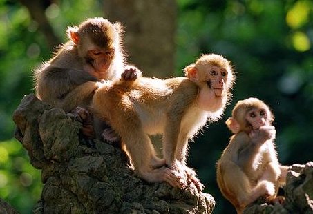 急得什么像什么？