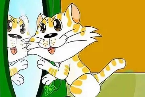 谢谢小花猫告诉我们什么道理