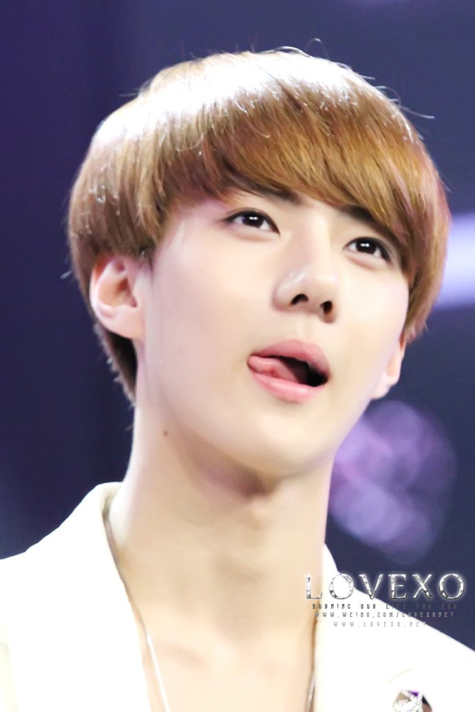 大家可以给我科普一下Exok的成员吗？我认不全