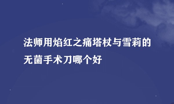 法师用焰红之痛塔杖与雪莉的无菌手术刀哪个好