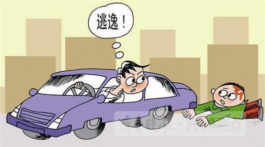 司机肇事逃逸，外卖小哥是怎样将其劝回的？