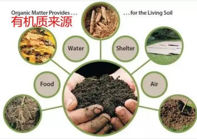 化学中的无机是指什么?