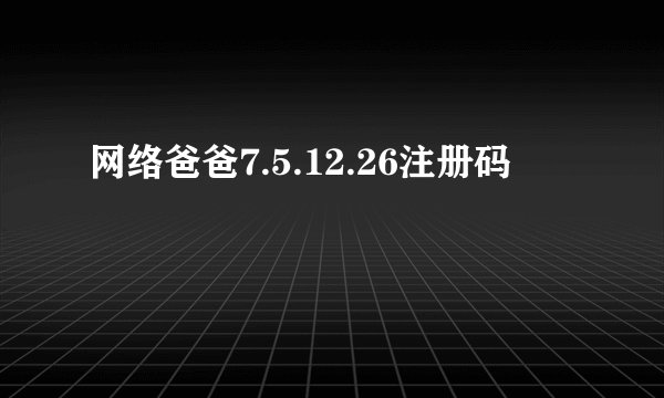 网络爸爸7.5.12.26注册码