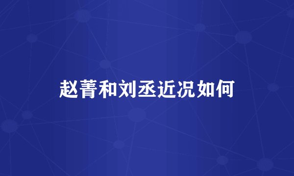 赵菁和刘丞近况如何