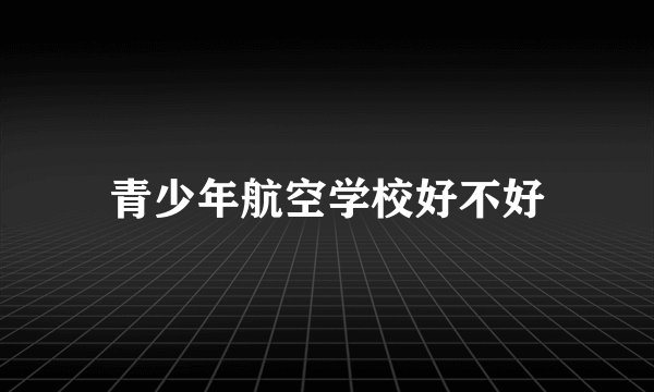 青少年航空学校好不好