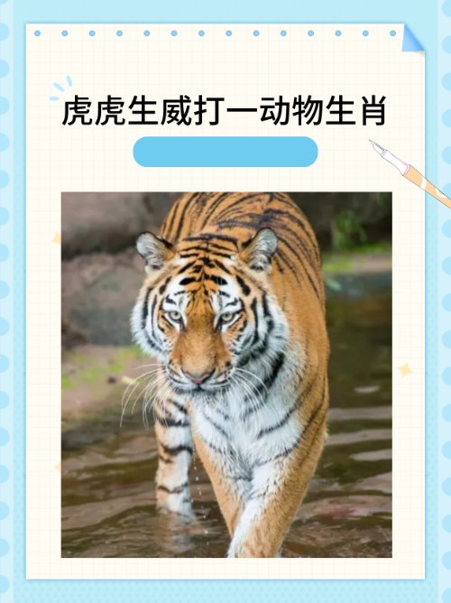 虎虎生威打一动物生肖