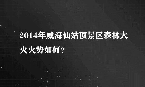 2014年威海仙姑顶景区森林大火火势如何？